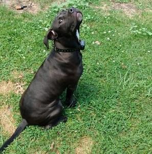 Meet your Posher, Randy